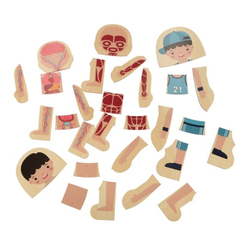 Puzzle drewniane warstwowe budowa ciała montessori chłopiec Puzzle drewniane warstwowe budowa ciała montessori chłopiec