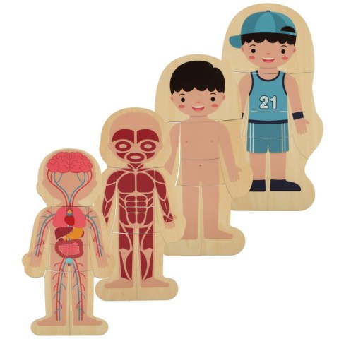 Puzzle drewniane warstwowe budowa ciała montessori chłopiec Puzzle drewniane warstwowe budowa ciała montessori chłopiec