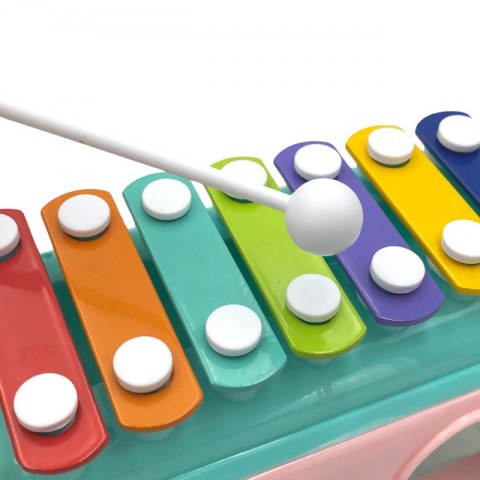 WOOPIE BABY Samochodzik Muzyczny Sorter z Cymbałkami Zielony WOOPIE BABY Samochodzik Muzyczny Sorter z Cymbałkami Zielony