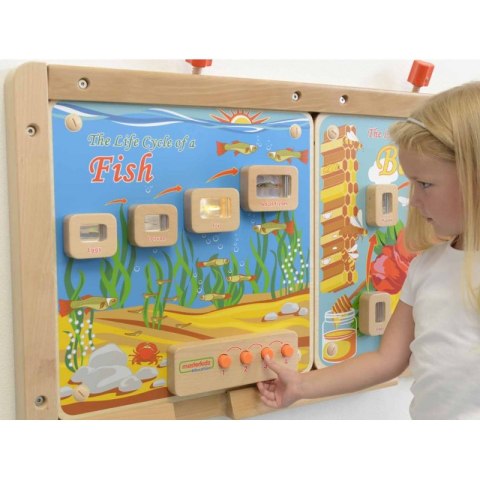 Cykl Życia Ryby Tablica Edukacyjna Masterkidz Podświetlana Cykl Życia Ryby Tablica Edukacyjna Masterkidz Podświetlana