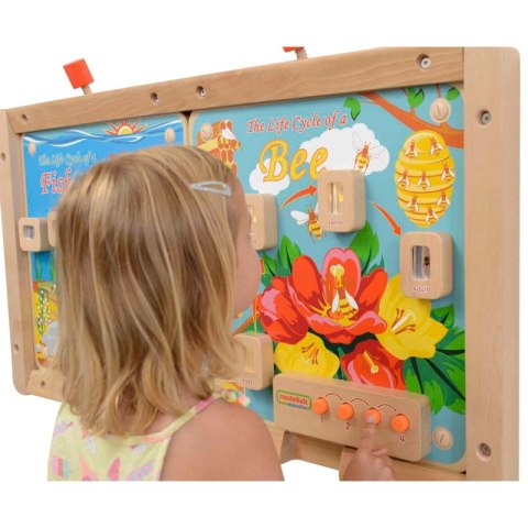 MASTERKIDZ Cykl Życia Pszczoły Ścienna Tablica Edukacyjna Flex Montessori MASTERKIDZ Cykl Życia Pszczoły Ścienna Tablica Edukacyjna Flex Montessori