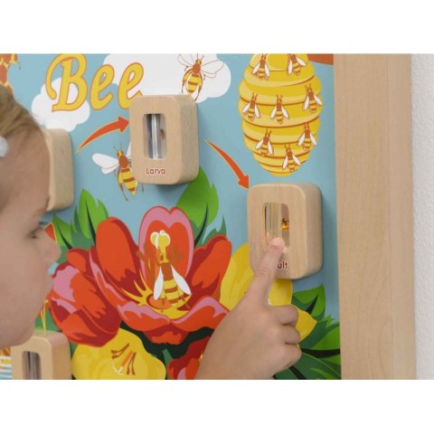 MASTERKIDZ Cykl Życia Pszczoły Ścienna Tablica Edukacyjna Flex Montessori MASTERKIDZ Cykl Życia Pszczoły Ścienna Tablica Edukacyjna Flex Montessori