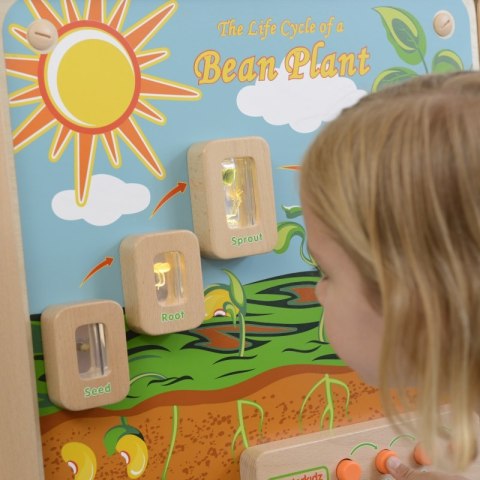 MASTERKIDZ Cykl Życia Rośliny Ścienna Tablica Edukacyjna Flex MASTERKIDZ Cykl Życia Rośliny Ścienna Tablica Edukacyjna Flex