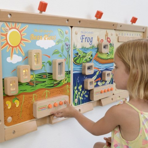 MASTERKIDZ Cykl Życia Rośliny Ścienna Tablica Edukacyjna Flex MASTERKIDZ Cykl Życia Rośliny Ścienna Tablica Edukacyjna Flex