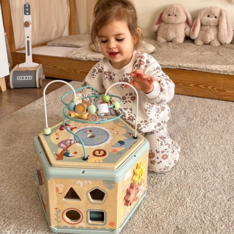 TOOKY TOY Interaktywny Drewniany Sześciokąt Montessori Otwierane Pudełko TOOKY TOY Interaktywny Drewniany Sześciokąt Montessori Otwierane Pudełko