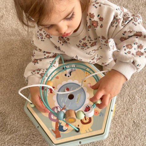 TOOKY TOY Interaktywny Drewniany Sześciokąt Montessori Otwierane Pudełko TOOKY TOY Interaktywny Drewniany Sześciokąt Montessori Otwierane Pudełko