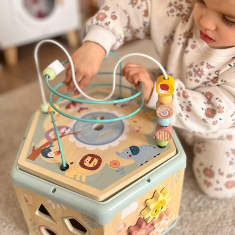 TOOKY TOY Interaktywny Drewniany Sześciokąt Montessori Otwierane Pudełko TOOKY TOY Interaktywny Drewniany Sześciokąt Montessori Otwierane Pudełko