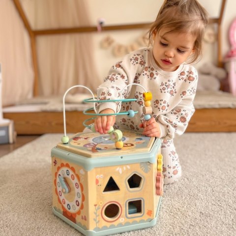 TOOKY TOY Interaktywny Drewniany Sześciokąt Montessori Otwierane Pudełko TOOKY TOY Interaktywny Drewniany Sześciokąt Montessori Otwierane Pudełko