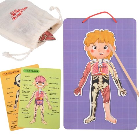 Tooky Toy Drewniane Puzzle Montessori Magnetyczne Nauka Anatomia Człowieka 78el. Tooky Toy Drewniane Puzzle Montessori Magnetyczne Nauka Anatomia Człowieka 78el.