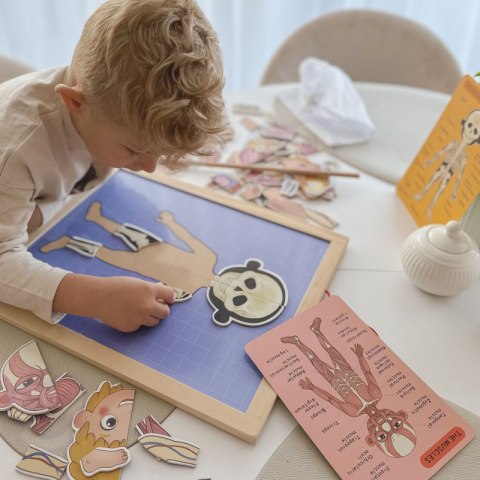 Tooky Toy Drewniane Puzzle Montessori Magnetyczne Nauka Anatomia Człowieka 78el. Tooky Toy Drewniane Puzzle Montessori Magnetyczne Nauka Anatomia Człowieka 78el.