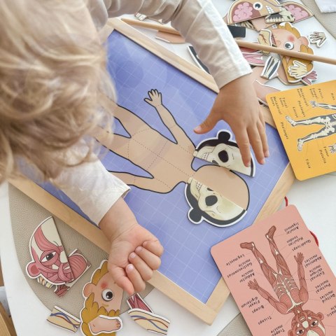 Tooky Toy Drewniane Puzzle Montessori Magnetyczne Nauka Anatomia Człowieka 78el. Tooky Toy Drewniane Puzzle Montessori Magnetyczne Nauka Anatomia Człowieka 78el.