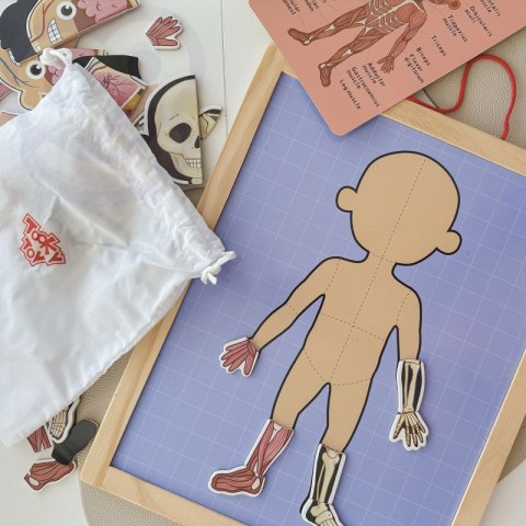 Tooky Toy Drewniane Puzzle Montessori Magnetyczne Nauka Anatomia Człowieka 78el. Tooky Toy Drewniane Puzzle Montessori Magnetyczne Nauka Anatomia Człowieka 78el.