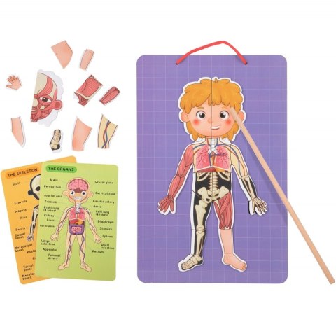 Tooky Toy Drewniane Puzzle Montessori Magnetyczne Nauka Anatomia Człowieka 78el. Tooky Toy Drewniane Puzzle Montessori Magnetyczne Nauka Anatomia Człowieka 78el.