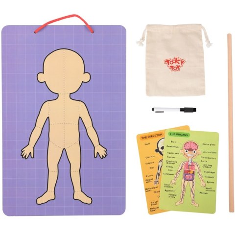 Tooky Toy Drewniane Puzzle Montessori Magnetyczne Nauka Anatomia Człowieka 78el. Tooky Toy Drewniane Puzzle Montessori Magnetyczne Nauka Anatomia Człowieka 78el.