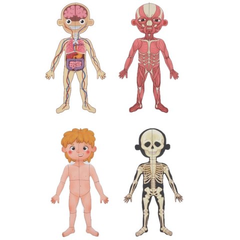 Tooky Toy Drewniane Puzzle Montessori Magnetyczne Nauka Anatomia Człowieka 78el. Tooky Toy Drewniane Puzzle Montessori Magnetyczne Nauka Anatomia Człowieka 78el.