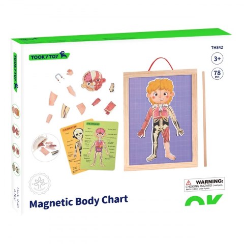 Tooky Toy Drewniane Puzzle Montessori Magnetyczne Nauka Anatomia Człowieka 78el. Tooky Toy Drewniane Puzzle Montessori Magnetyczne Nauka Anatomia Człowieka 78el.