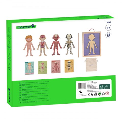 Tooky Toy Drewniane Puzzle Montessori Magnetyczne Nauka Anatomia Człowieka 78el. Tooky Toy Drewniane Puzzle Montessori Magnetyczne Nauka Anatomia Człowieka 78el.