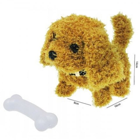 WOOPIE Piesek Interaktywny Pluszak z Kością Pudel Husky WOOPIE Piesek Interaktywny Pluszak z Kością Pudel Husky