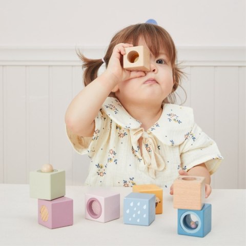 VIGA Drewniane Klocki Sensoryczne PolarB